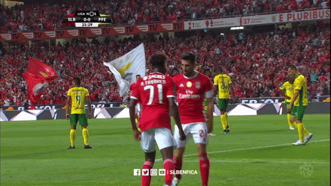 Sl Benfica Hug GIF by Sport Lisboa e Benfica