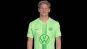 France Love GIF by VfL Wolfsburg