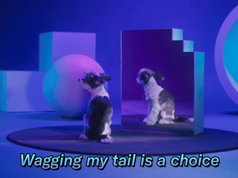 Wagging My Tail Is A Choice...