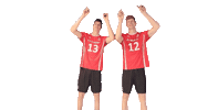 swiss_volley svmnt Sticker