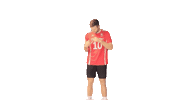 swiss_volley svmnt Sticker