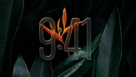 Webskitters giphyupload GIF