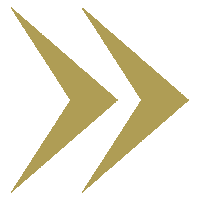 Arrow Seta Sticker by Adula Brasil