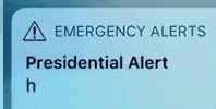Call H GIF