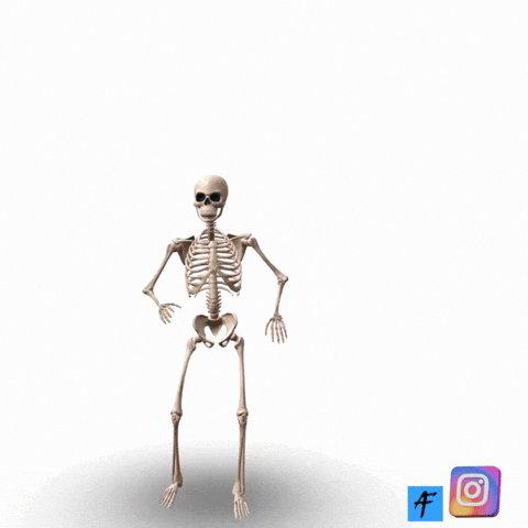 Back To School Lol GIF by A Reason To Feel