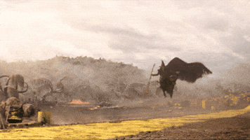 Flying Cynthia Erivo GIF by Wicked