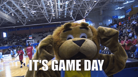 game day basketball GIF by ACB