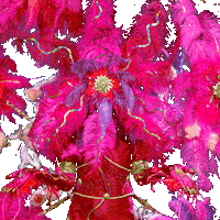 Oud En Nieuw Swipe GIF by RTL