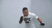 Sport Mma GIF by UFC