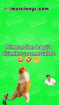 Feliz Humor GIF by Murcianys LLC
