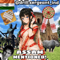 India Mention GIF