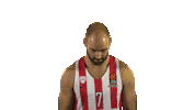 basketball olympiacos Sticker by EuroLeague