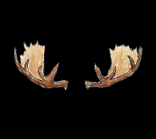 Cabin Life America GIF by Duluth Pack