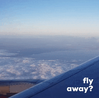 chaostripreisen  GIF