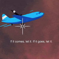 GIF by systaime