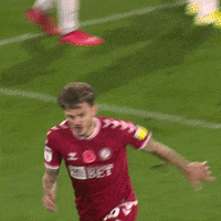 Jamie Paterson Celebration GIF by Bristol City FC