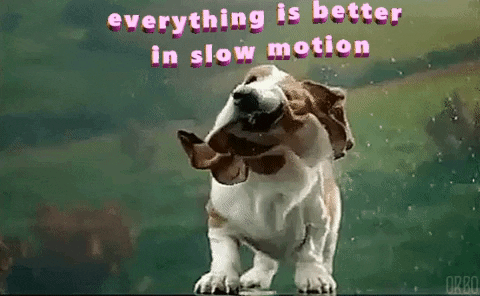 Slow Motion GIF by MOODMAN