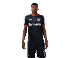 Bayer 04 Goal Sticker by Bayer 04 Leverkusen