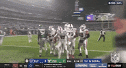 National Football League GIF by NFL