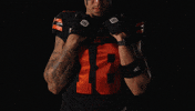 Canadian Football GIF by BC Lions