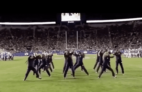 college football mascot GIF by Ben L