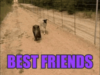 GIF by Becky Chung