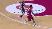 Liga Endesa Basketball GIF by ACB