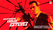 charlie sheen GIF by MACHETE KILLS
