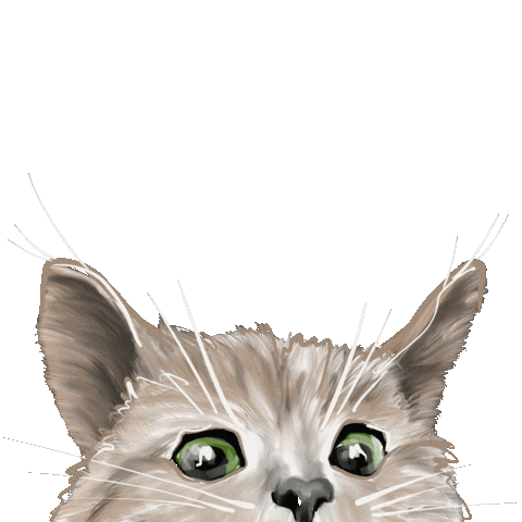 tatjanasolovjova giphyupload кот глаза вопрос Sticker
