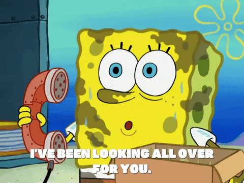 season 6 pet or pets GIF by SpongeBob SquarePants