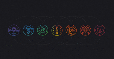 Timeline GIF