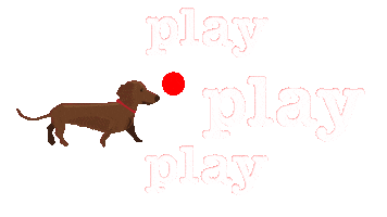 Text Love Sticker by Prairie Paws Animal Shelter