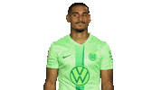 Looking France Sticker by VfL Wolfsburg