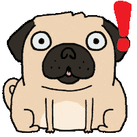 danielriveraaaa dog what omg shocked Sticker