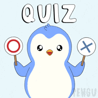 Penguin Yes GIF by Pudgy Penguins