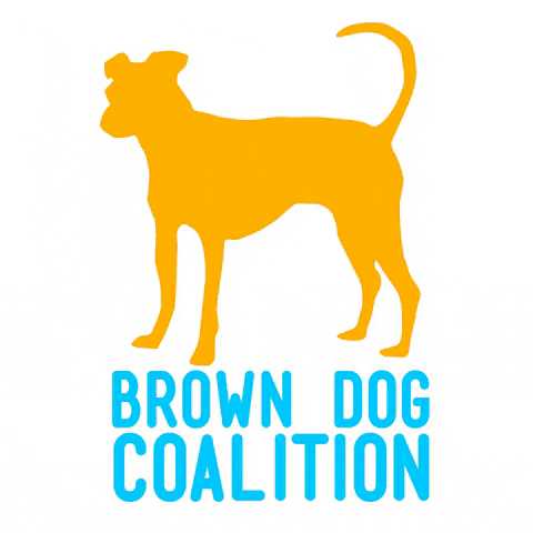 browndogcoalition giphygifmaker dog rescue brown dog GIF