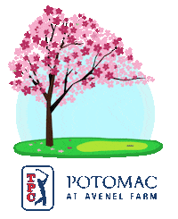 Pga Tour Golf Sticker by TPC Network