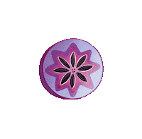 miamifruit fruits tropical fruit miamifruit miami fruit Sticker