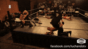 lucha libre wrestling GIF by Luchando en las Américas