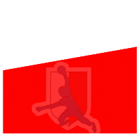 Rukomet Crohandball Sticker by RKPorec