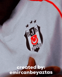 Beşiktaş GIF