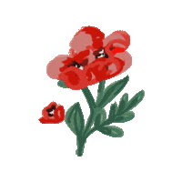 happy rose Sticker by Ivo Adventures