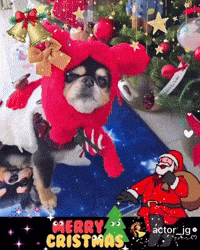 Jg Joon GIF