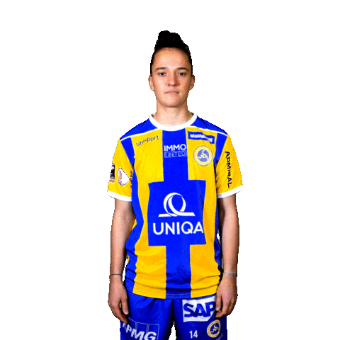 Football Sport Sticker by FirstViennaFC