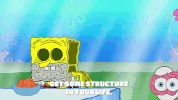 season 9 GIF by SpongeBob SquarePants