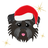 dog flashing Sticker by Tangle Teezer