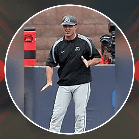joesottolano giphygifmaker giphyattribution GIF