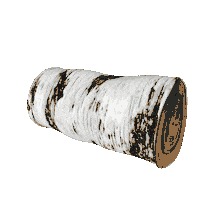 rmsk beryoza Sticker by Raumskaya