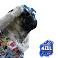 dog fiesta Sticker by Jose Cuervo