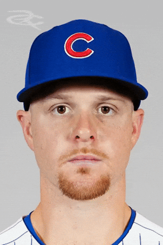Cubs GIF by Respective